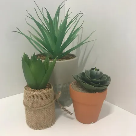 Apartament Victoria3 1-bedroom In A Privileged Location *