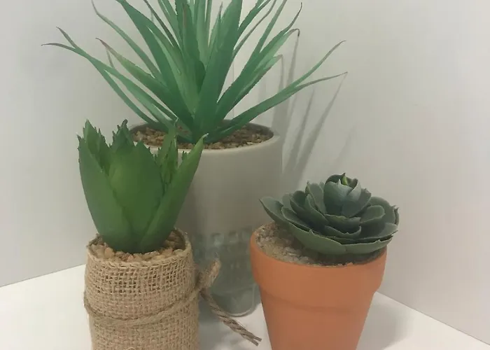 Lägenhet Victoria3 1-bedroom In A Privileged Location *